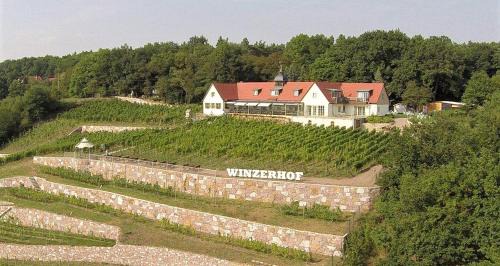 Diera-Zehren Maison | Pension Bella Vista - Winzerhof Golk