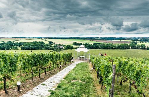 Diera-Zehren Maison | Pension Bella Vista - Winzerhof Golk