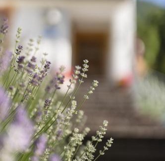 Neustift Im Stubaital Lit Et Petit-Déjeuner | Pension Gulla - Ferienhaus Appartements B&B