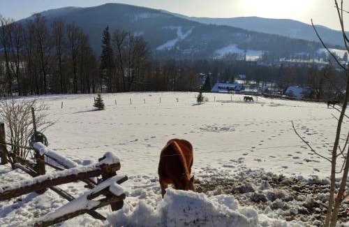 Moravka Maison | Pension Jízdárna