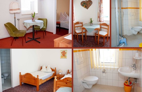 Mockrehna Appartement | . Pension Meyer's Gasthof - Double room with shower/WC in the room