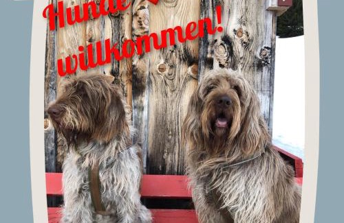 Lech am Arlberg Lit Et Petit-Déjeuner | Pension Muggengrat
