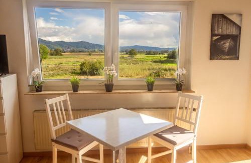Hahnlein Appartement | Pension Nickel Ferienwohnung DG Am Holzlachgraben