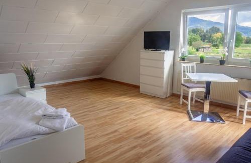 Hahnlein Appartement | Pension Nickel Ferienwohnung DG Am Holzlachgraben
