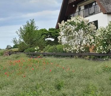 Lubkow Maison | Pension Petersen