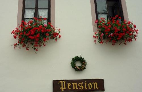 Cesky Krumlov Maison | Pension Plešivecká 119