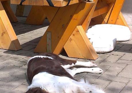 Nebra Maison | Pension Sommerfrische