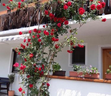 Rosenbach Maison | Pension Stausee