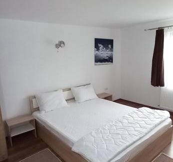 Copalnic-Manastur Maison | Pensiune Restaurant Alex