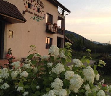 Cisnadie Maison | Pensiunea Casa cu Flori