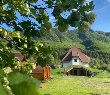 Vidra Maison | Pensiunea Dealul cu Melci