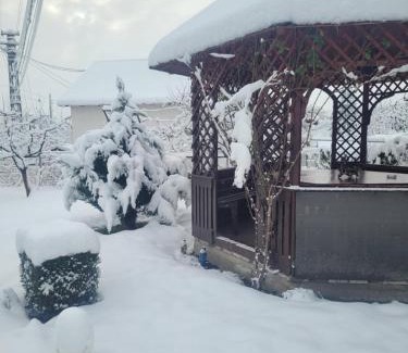 Oestii Paminteni Maison | Pensiunea Diana