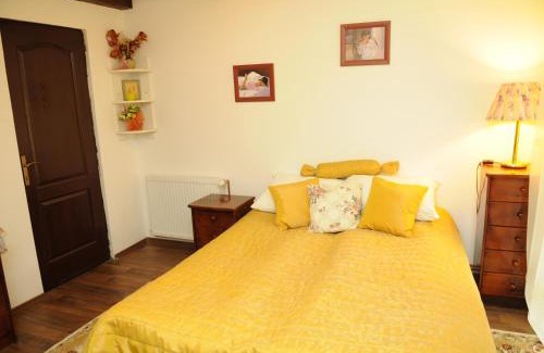 Riu de Mori Maison | Pensiunea Dumbrăvița