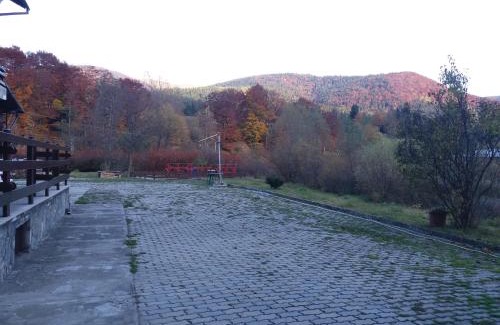 Poiana Tapului Maison | Pensiunea Tranzit Sinaia