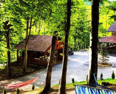 Auseu Maison | Pensiunea Valea Gepisului