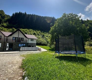 Rau Sadului Maison | Pensiunea Valea Pinului
