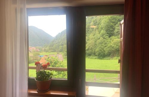 Rau Sadului Maison | Pensiunea Valea Pinului