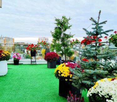 Iasi Appartement | Penthouse Aeroport Iasi