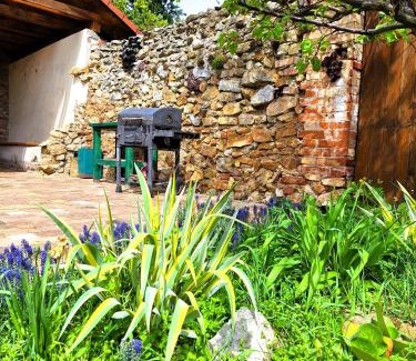 Smolenice Maison | Penzión Villa Agnes