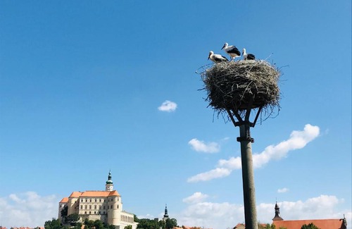 Mikulov Maison | Penzion Čáp