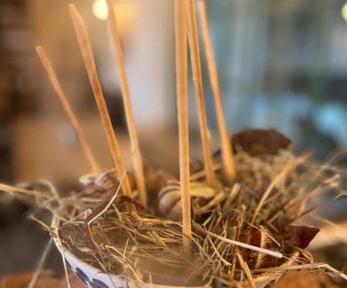 Znojmo Maison | Penzion a bistro Starý kopec