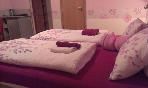 Roznava Maison | Penzion Areal Zamma