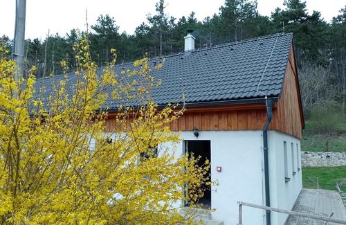 Kraluv Dvur Maison | Penzion Litohlavy 17 - Na samotě u lesa