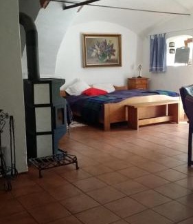 Stare Mesto Appartement | Penzion Na koštěti - pejsci zdarma