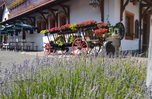 Libun Maison | Penzion Restaurace u Helferů