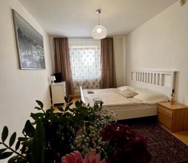 Prague 4 Maison | Penzion Sofi