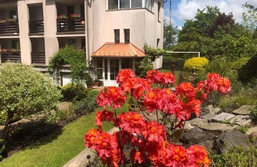 Ceska Ves Maison | Penzion Swist
