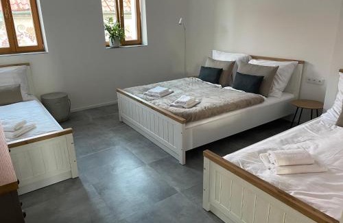 Mikulcice Appartement | Penzion U Blechy a Švába