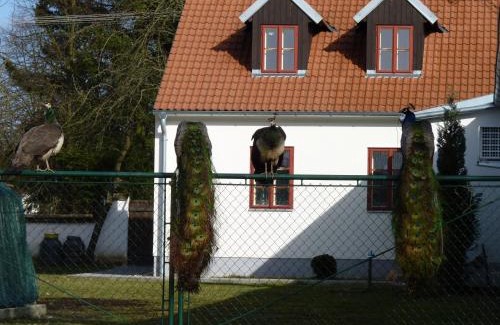 Pistina Maison | Penzion U Houšků