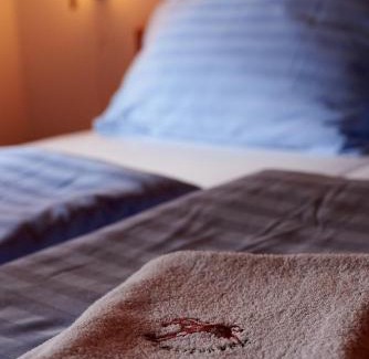 Blansko Maison | Penzion U Strakatého Koně