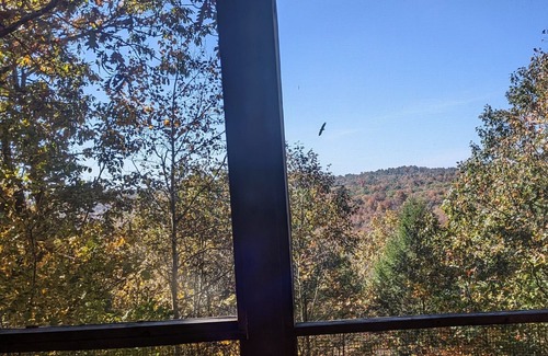 Harrisonville Chalet De Ski | Perched in the Trees, Very Private, Screened in Porch with view