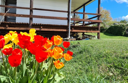 Naseby Maison | Perfect family holiday spot - 5 mins walk to all Naseby's attractions
