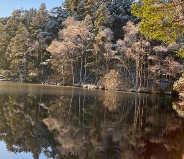 Grantown-on-Spey Maison | Perfect for country lovers