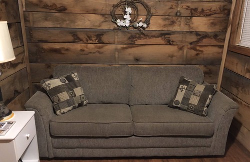 Murfreesboro Cottage | Emplacement parfait pour les chasseurs de diamants! Super endroit! Animaux acceptés!