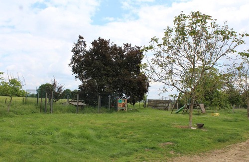 Naussannes Cottage | Gîte périgourdin avec piscine partagée, cheminée et animaux admis près de Bergerac