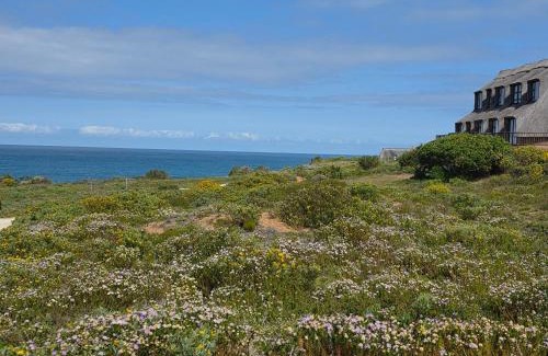 Still Bay Appartement | Pervinca al Mare