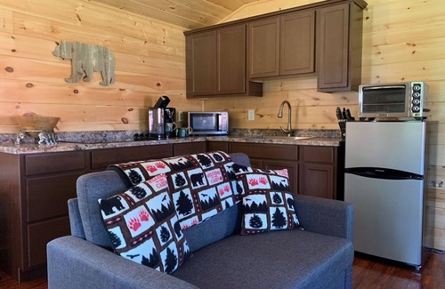 Inlet Cabine | Location de chalets pour animaux de compagnie à Inlet, New York (Adirondack Mountains)