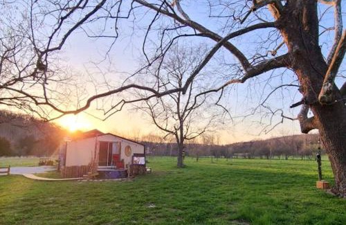Hartsburg Maison | Pet-Friendly Cabin for Romantic, Off-the-Grid Glamping Escapes in Missouri