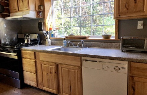 Willseyville Cabine | Pet-friendly Cabin with Authentic Sauna Situated Next To Private Spring-fed Pond