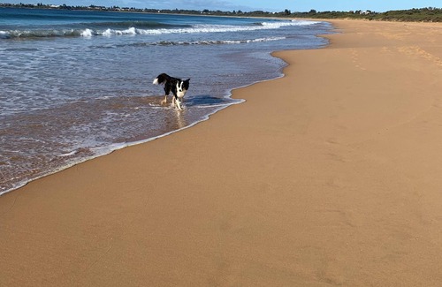 Culburra Beach Cottage | Pet friendly holiday cottage close to beach and river.