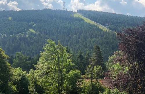 Hahnenklee Appartement | Peters Aparthotel