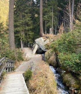 Champex-Lac Appartement | Petit Canada - Studio à louer