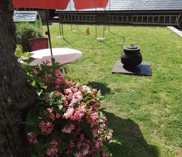 Cier-de-Luchon Appartement | petit gîte de montagne avec jardin et terrasse