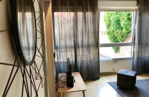 Saint Nicolas - Charles III - Ville vieille - Trois Maisons - Leopold Appartement | Petit loft Drouot