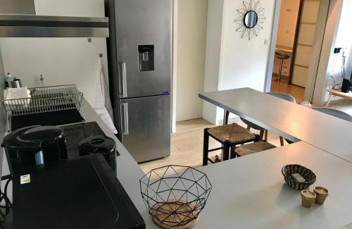 Saint Nicolas - Charles III - Ville vieille - Trois Maisons - Leopold Appartement | Petit loft Drouot