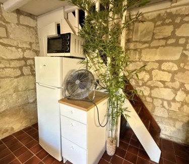 Savigny-en-Veron Maison | Petite Maison avec jardin privée